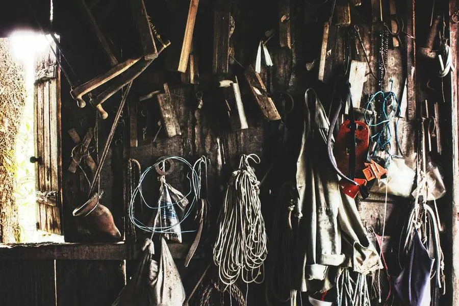 Hand tools hanging on the wall of a workshop